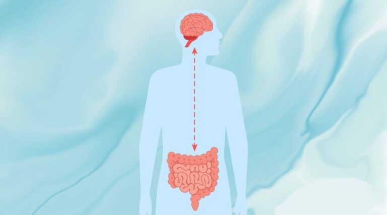 The Gut