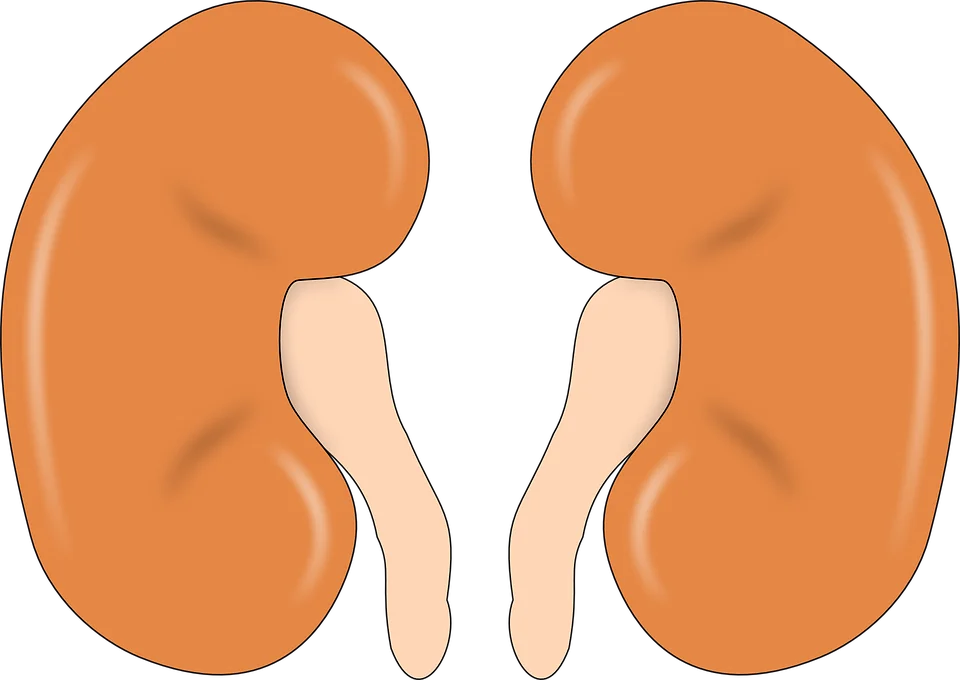 KIDNEY STONES