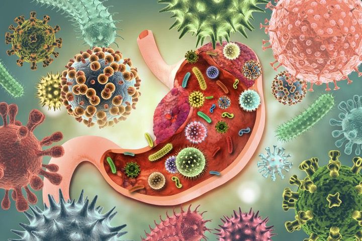 Gut Health Awareness: Nurturing Your Body’s Core