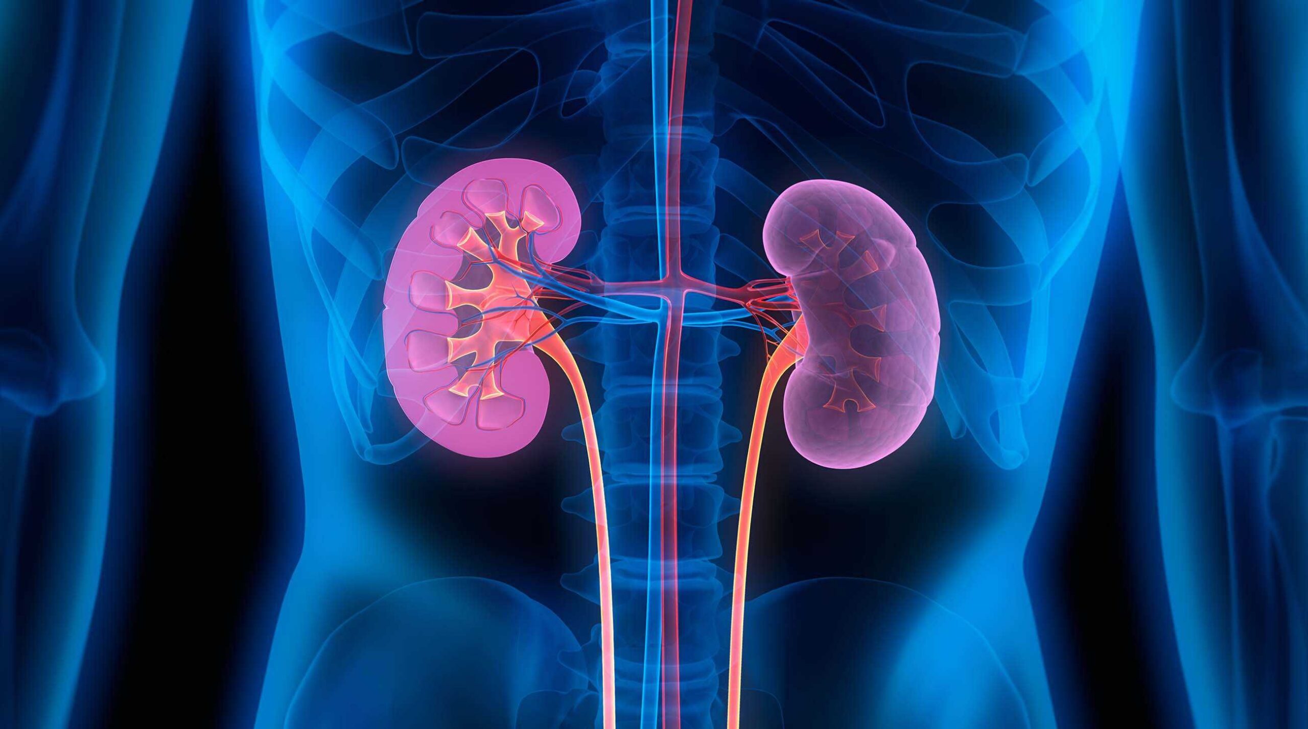Kidney Cleansing