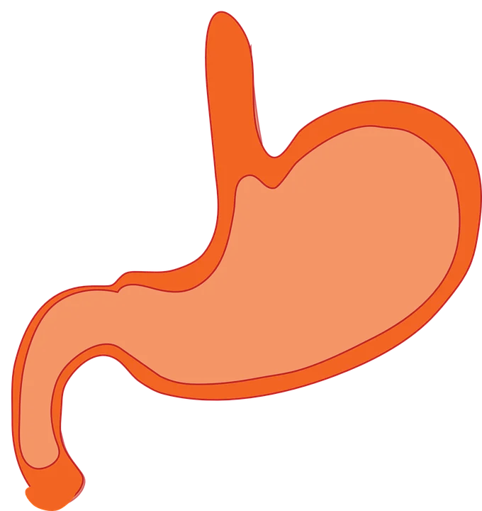 STOMACH ULCERS