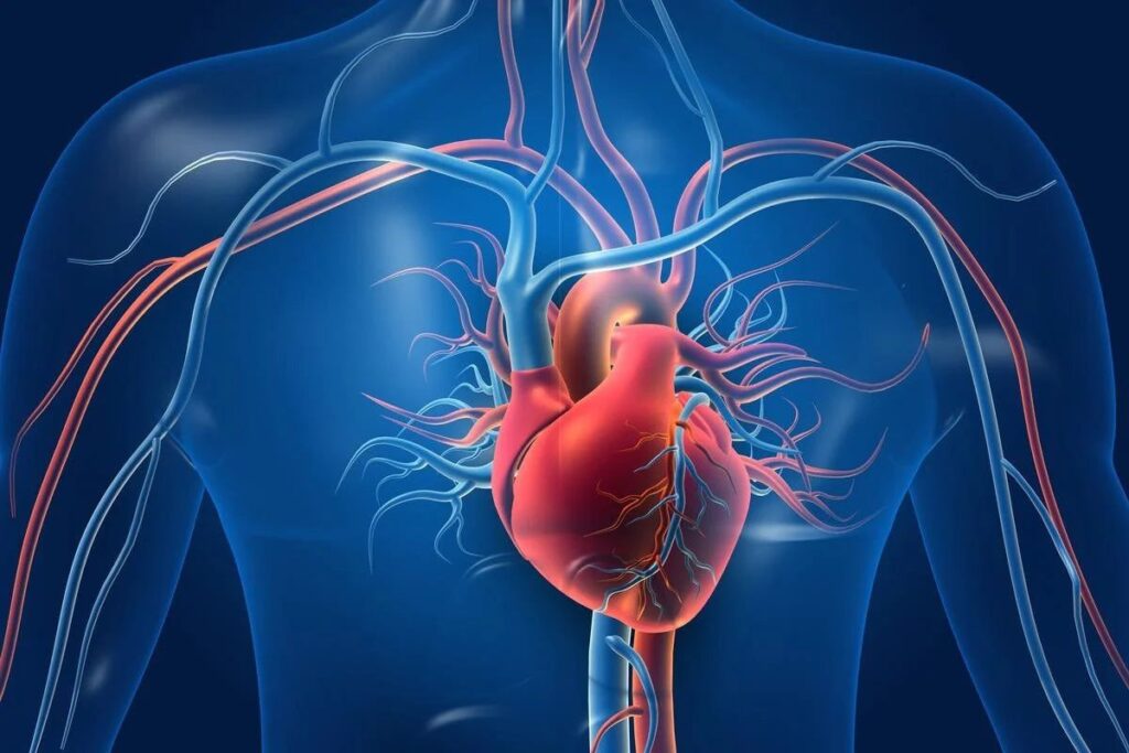 Cardiovascular Health