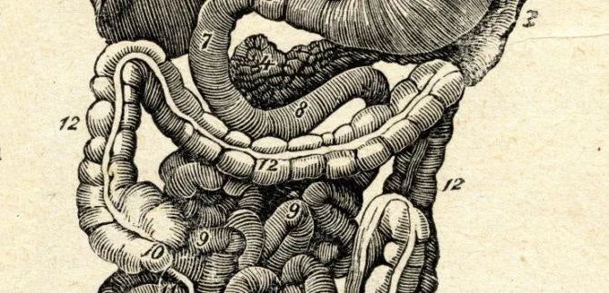 NATURAL CONSTIPATION RELIEF